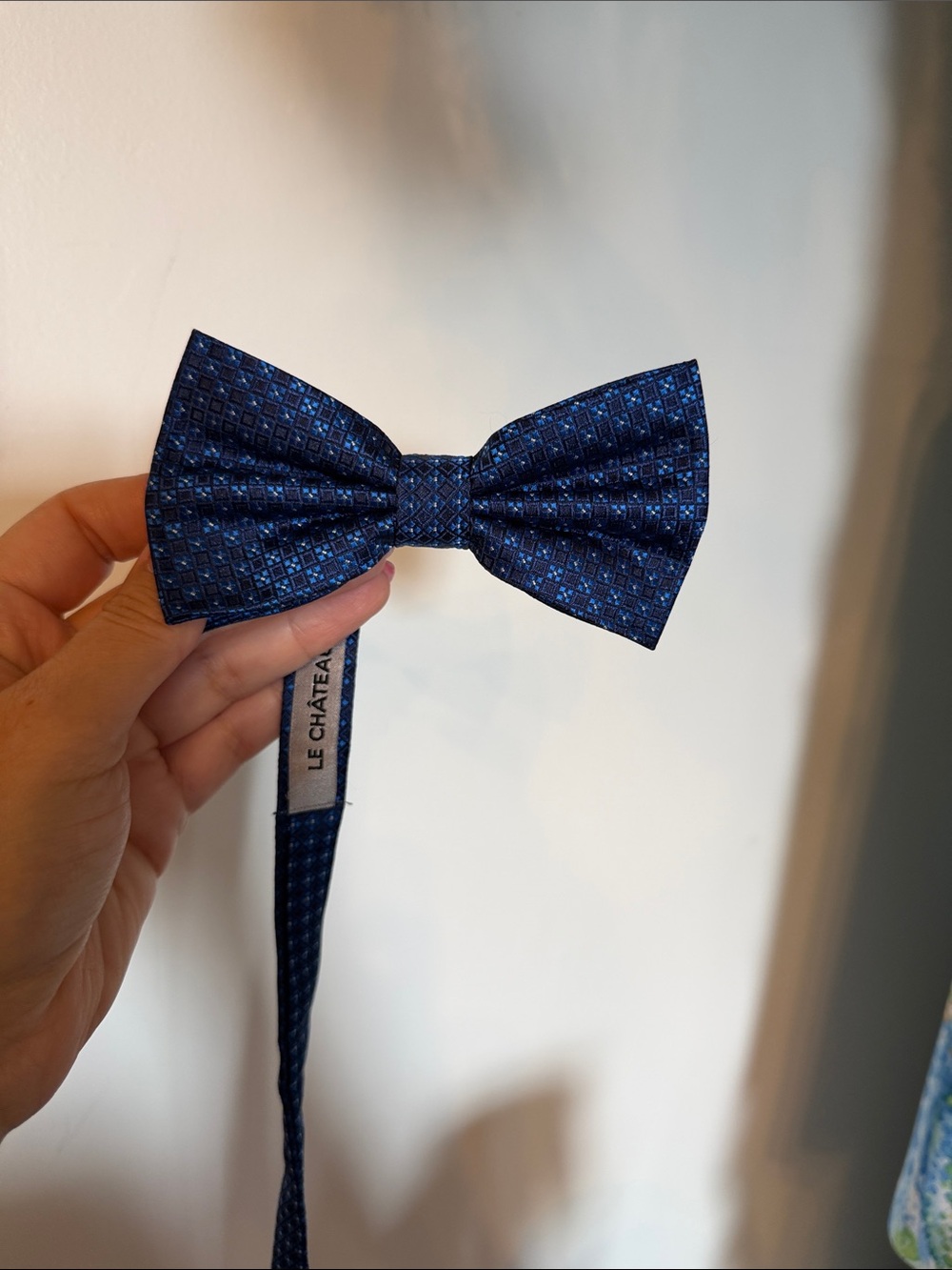 le chateau Blue Geometric Pre-Tied Bow Tie